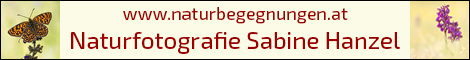 Naturbegegnungen - Sabine Hanzel
